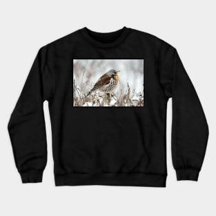 Fieldfare in the snow Crewneck Sweatshirt